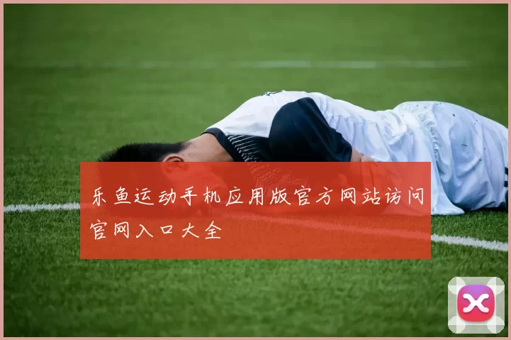 乐鱼运动手机应用版官方网站访问官网入口大全