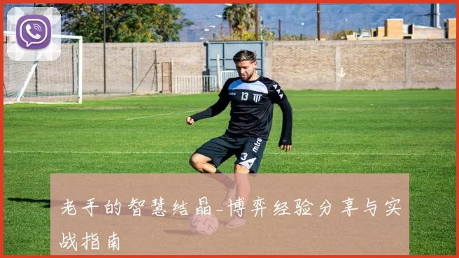 老手的智慧结晶_博弈经验分享与实战指南